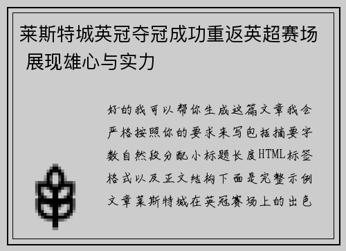 莱斯特城英冠夺冠成功重返英超赛场 展现雄心与实力